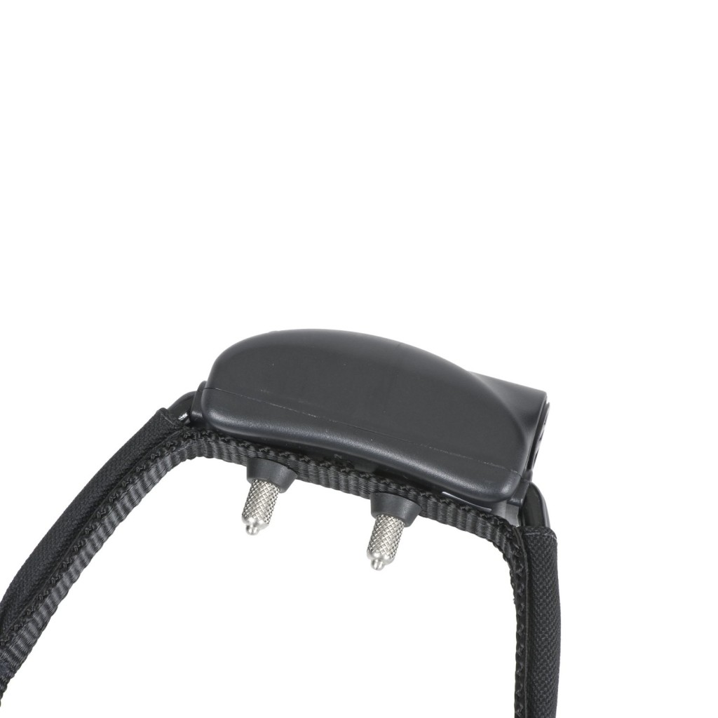 Havahart RadialShape Select Wireless Fence Review Dig Your Dog