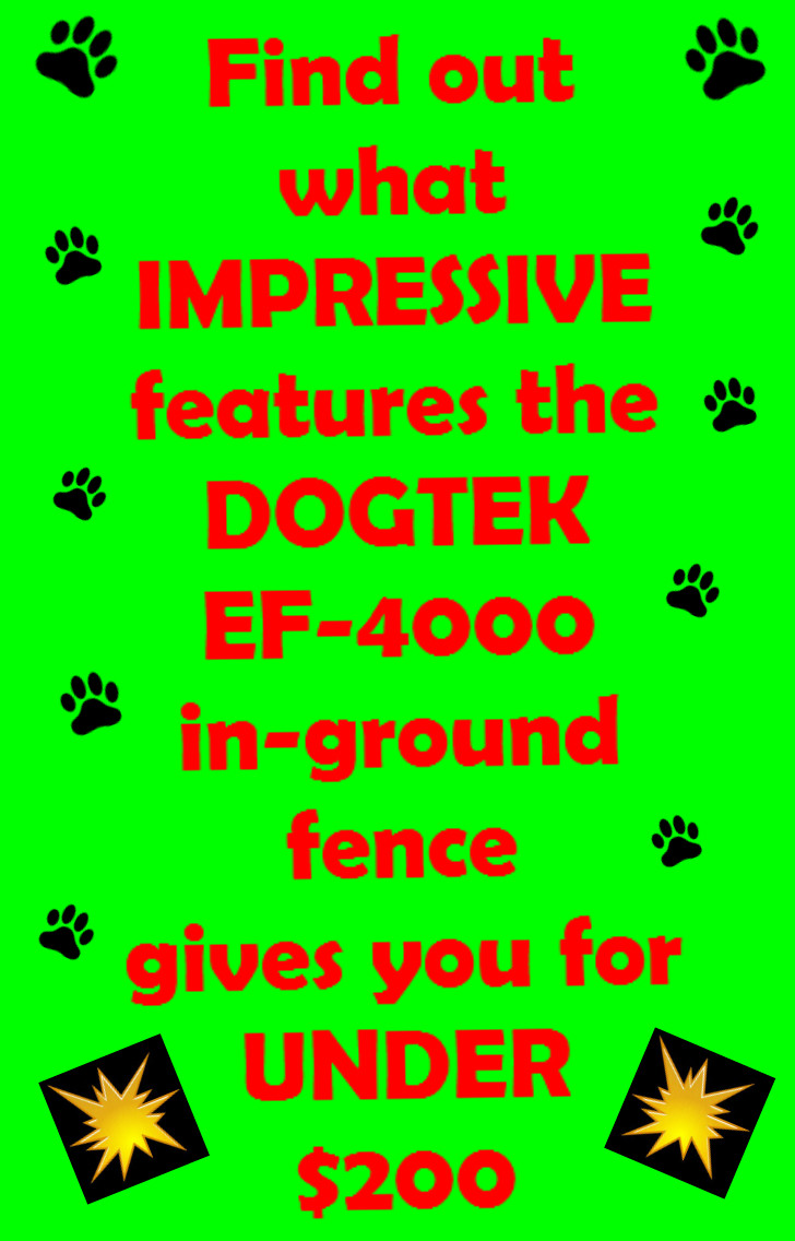 DOGTEK EF4000 Electronic Dog Fence System Review Dig Your Dog
