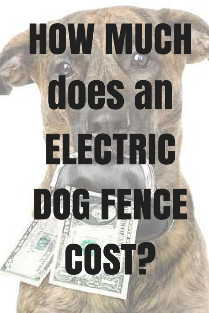 How Much Does An Electric Dog Fence Cost? Dig Your Dog